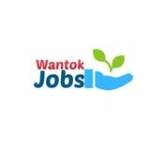 Wantok Jobs Profile Picture